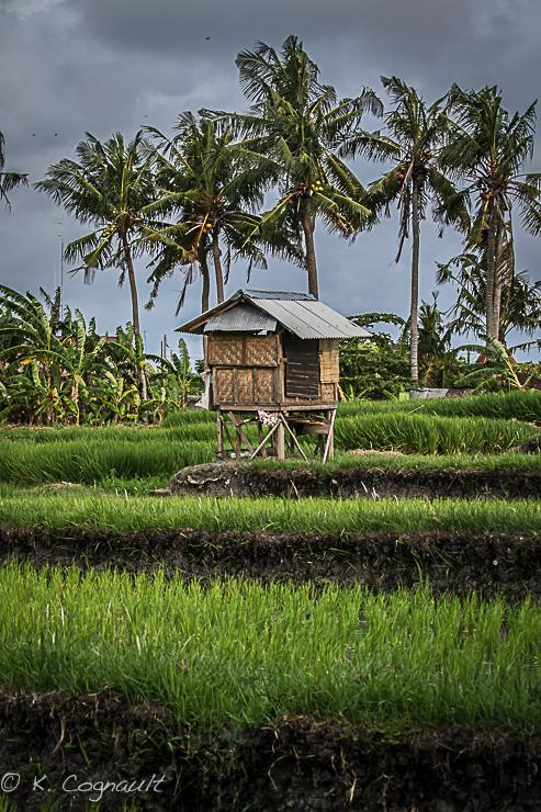 Villa Impian Canggu Exterior foto